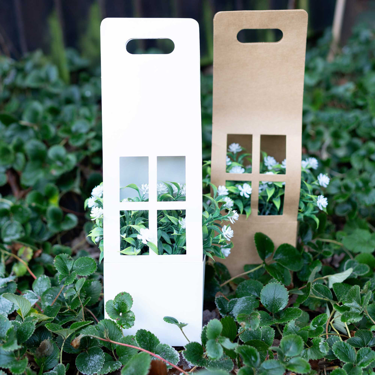 White Flower/Plant Carrier Boxes (Pack of 12)