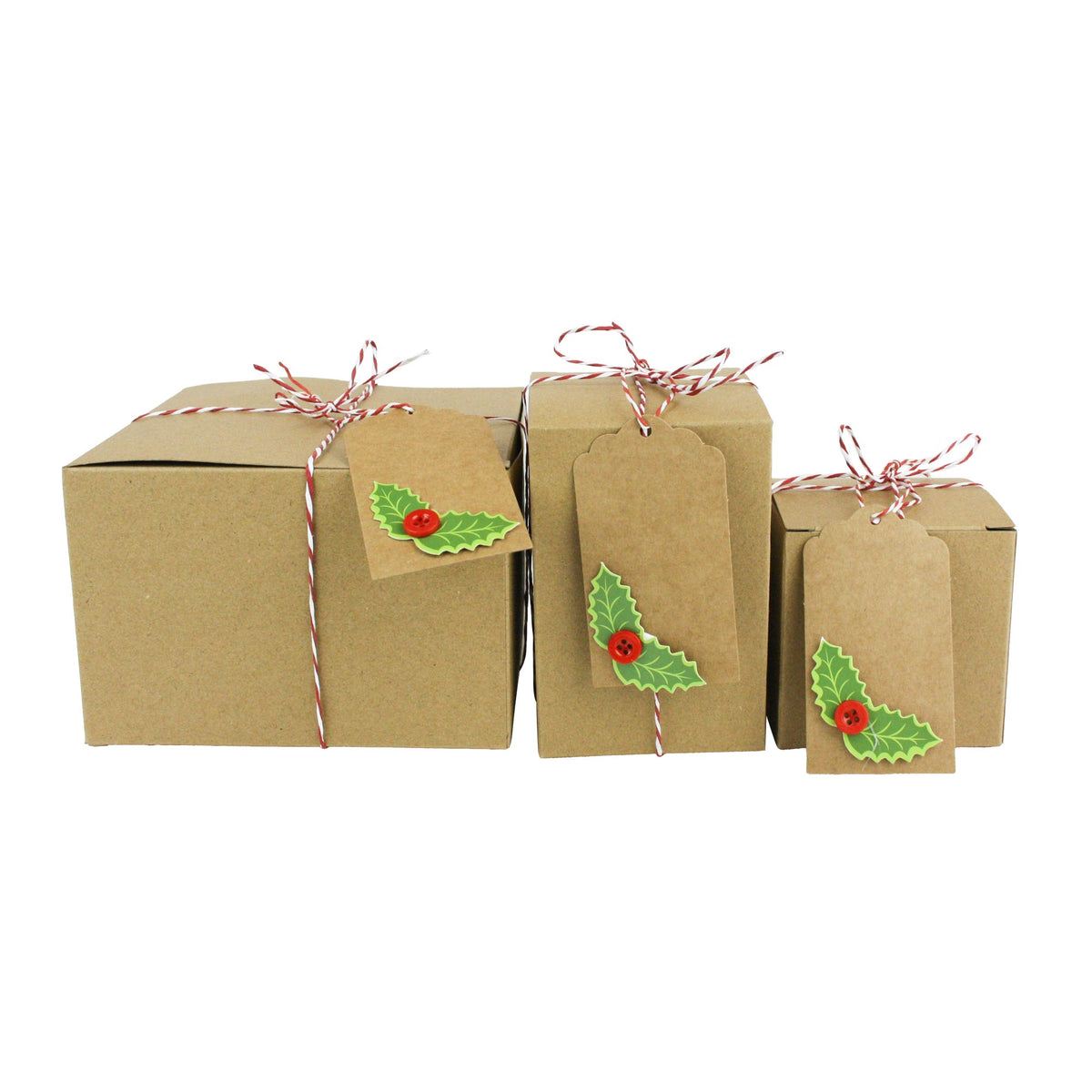 Pack of 12 Natural Brown Kraft Gift Box with String and Tag