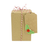 Natural Brown Kraft Gift Box with String and Tag - 3 Sizes