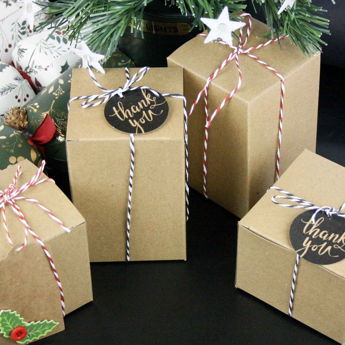 Pack of 12 Natural Kraft Gift Box With String and Tag