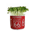 Number Plate Planter - Red