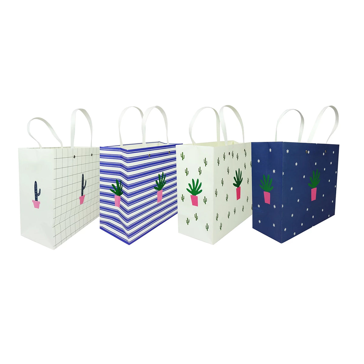 Cactus Gift Bag - Set of 4