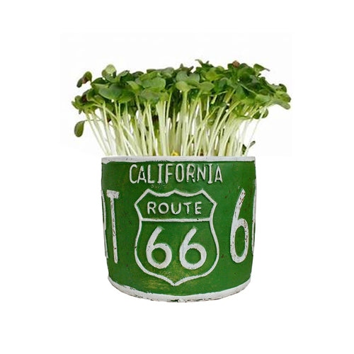 Number Plate Planter - Green