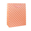 Polka Dots Gift Bag - Set of 6